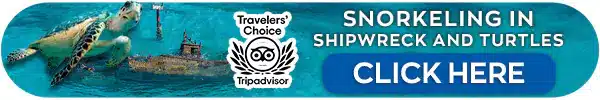 snorkel-with-turtles-in-a-shipwreck-in-cancun-tour mini banner