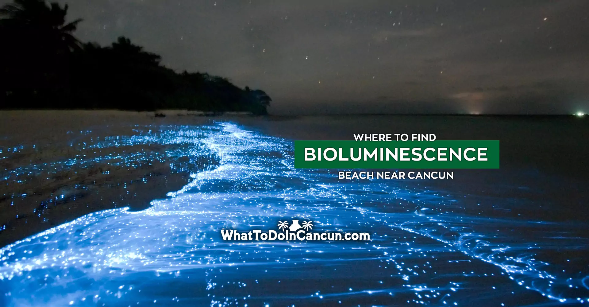 Where to find bioluminescence beach near cancun?