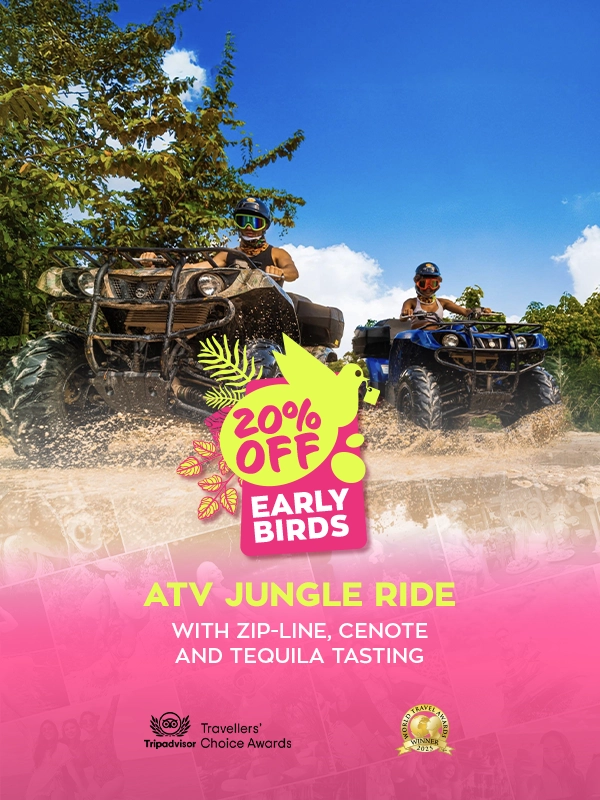 tour atv jungle adventure and ziplines
