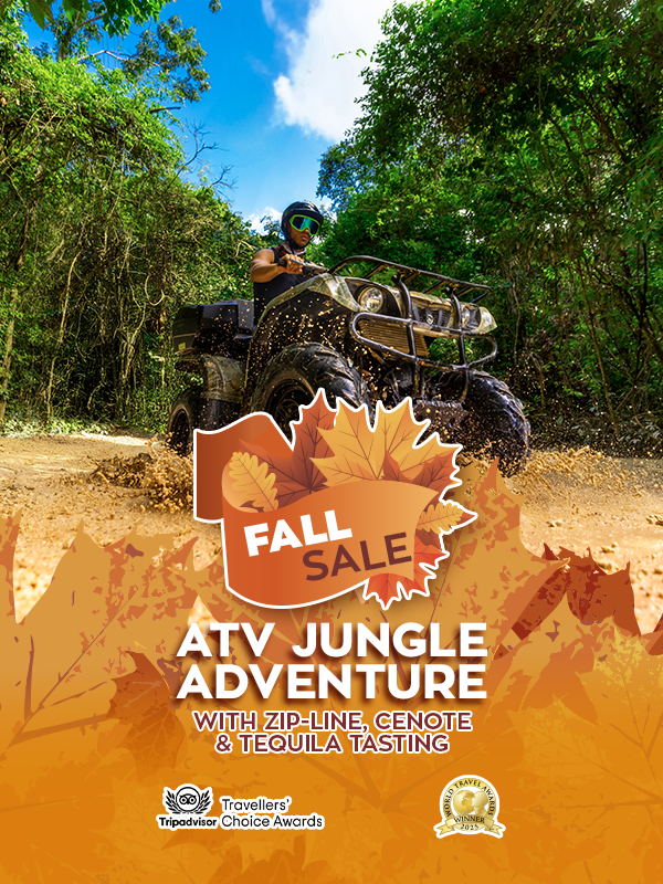 tour atv jungle adventure and ziplines