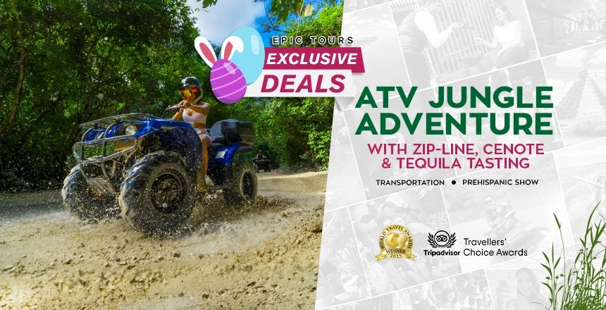 tour atv jungle adventure and ziplines