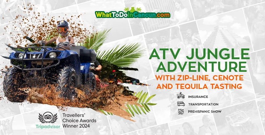 tour atv jungle adventure and ziplines