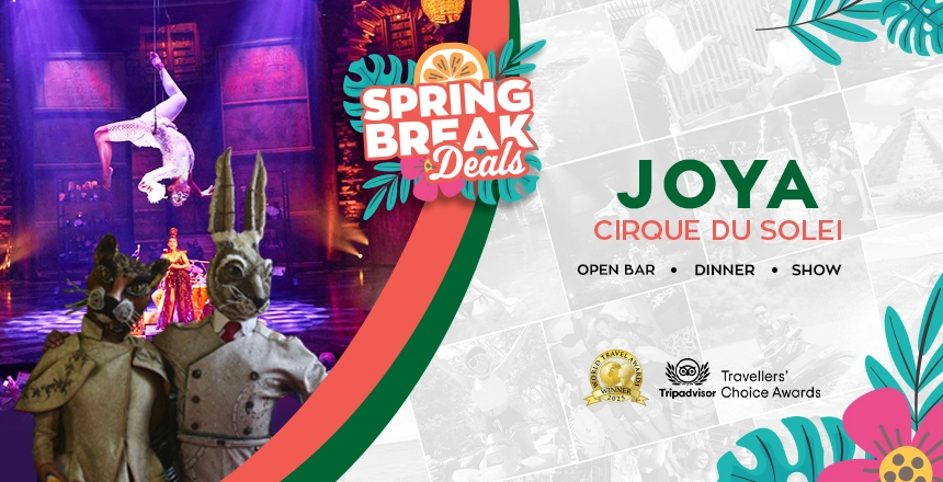 cirque du soleil joya show experience