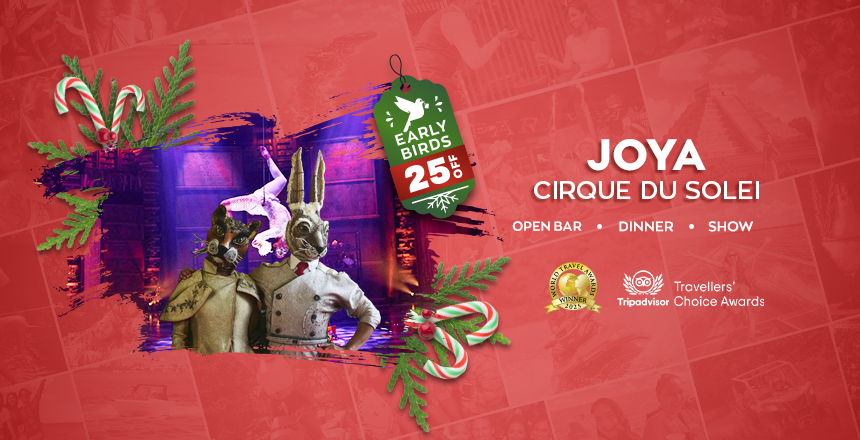 cirque du soleil joya show experience