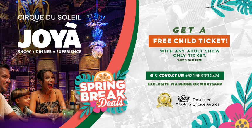 cirque du soleil joya show experience