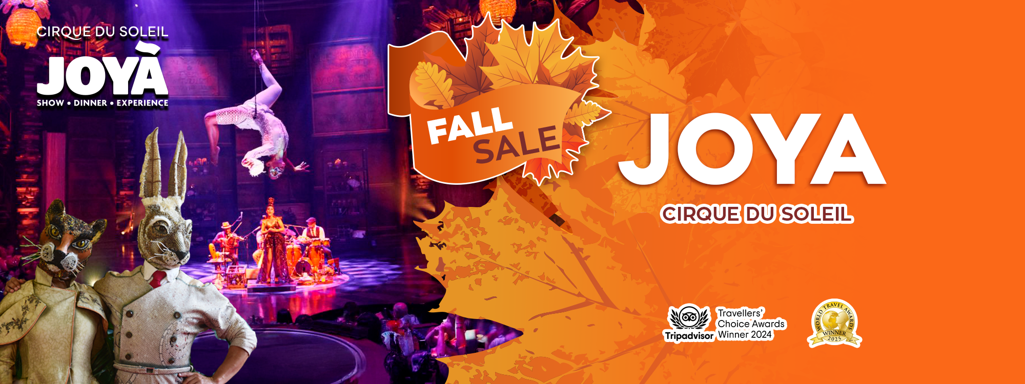 cirque du soleil joya show experience