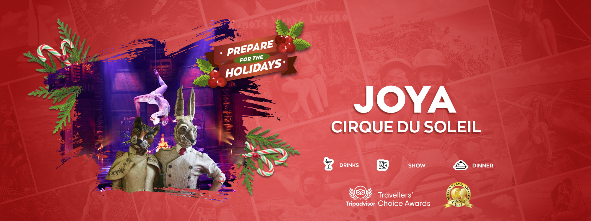 cirque du soleil joya show experience