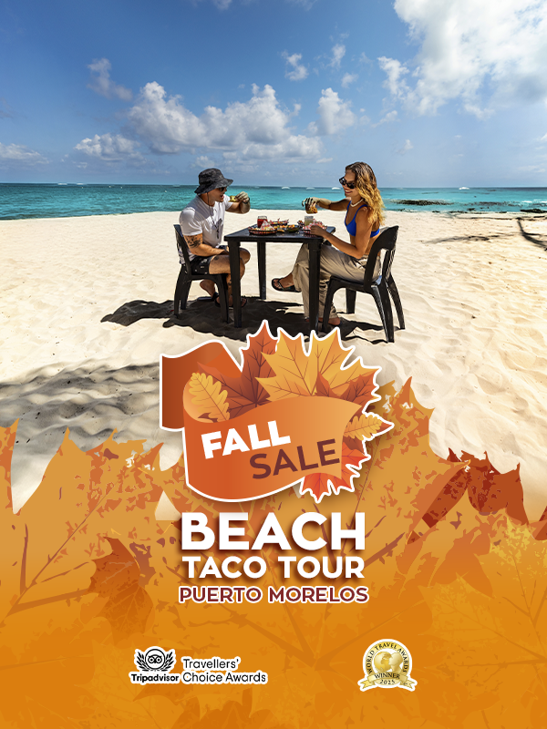 tour city taco and tequila tasting puerto morelos