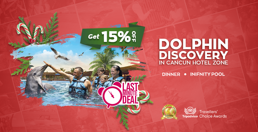 dolphin discovery in cancun hotel zone swim dolphin