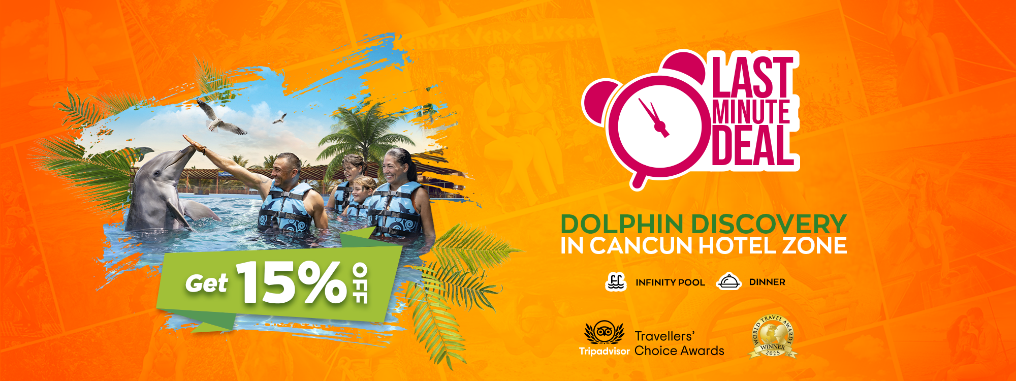 dolphin discovery in cancun hotel zone swim dolphin