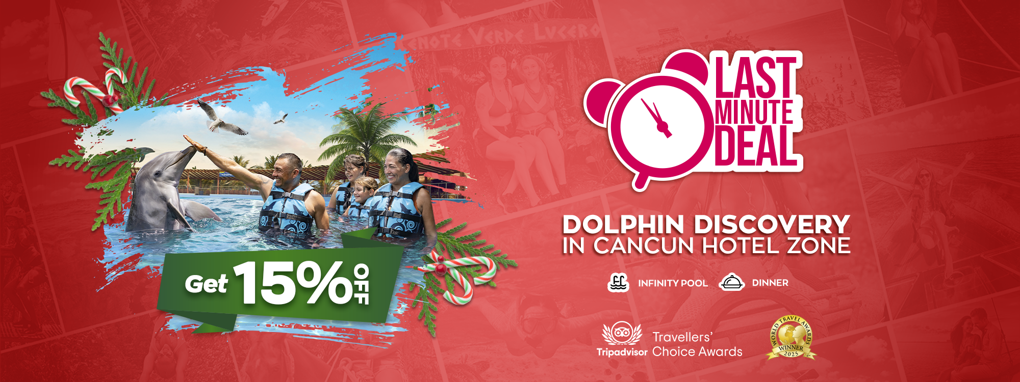 dolphin discovery in cancun hotel zone swim dolphin