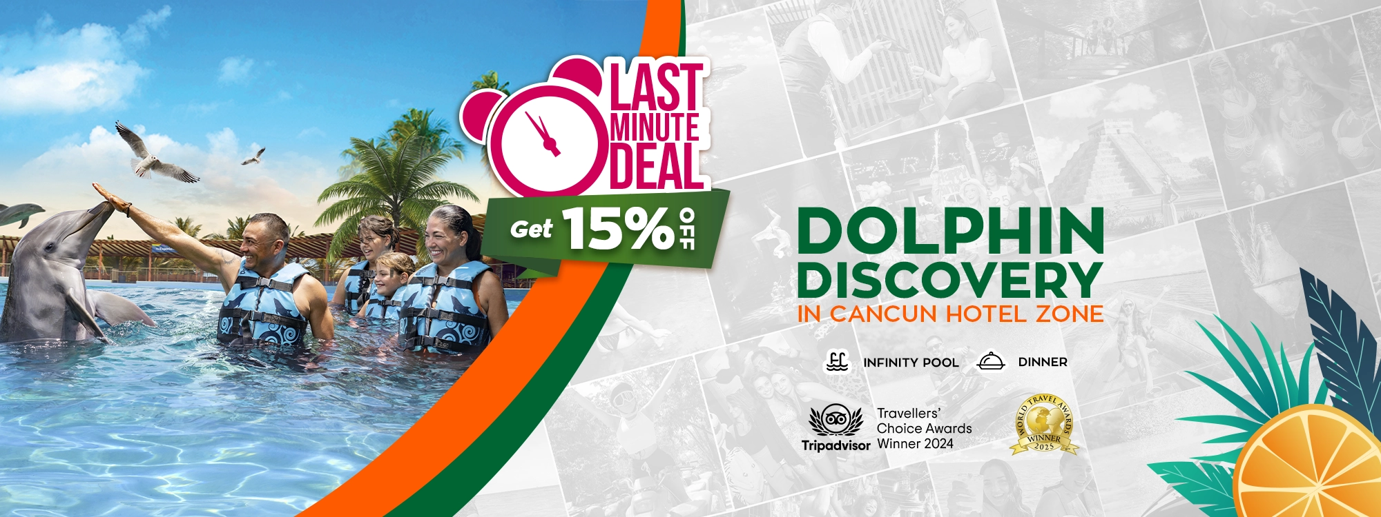 dolphin discovery in cancun hotel zone swim dolphin