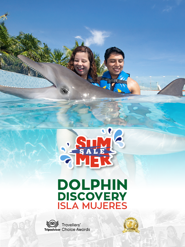 dolphin discovery in isla mujeres