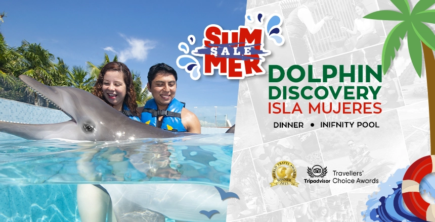 dolphin discovery in isla mujeres