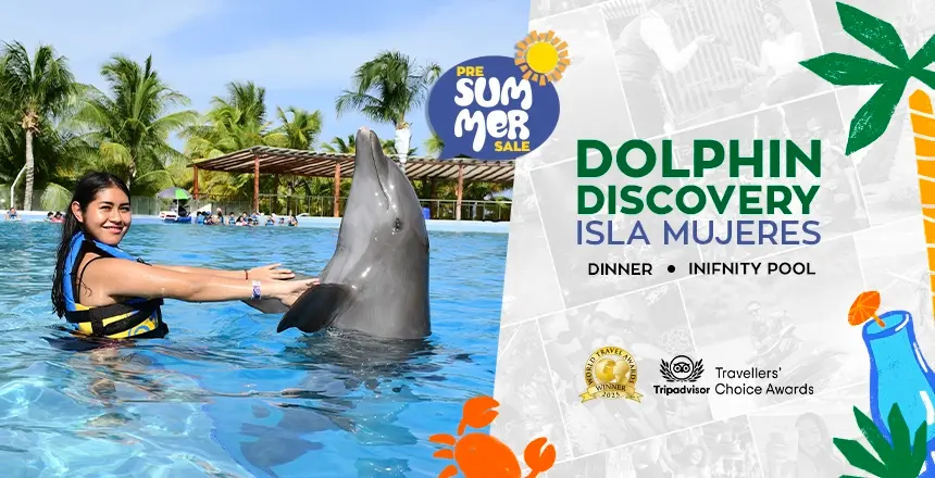dolphin discovery in isla mujeres