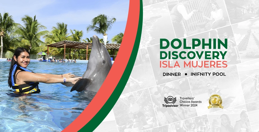 dolphin discovery in isla mujeres