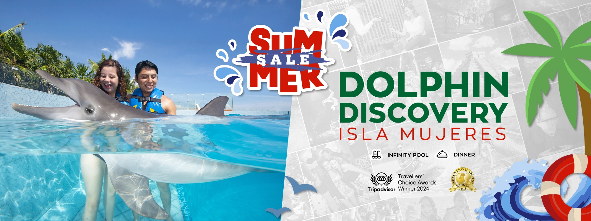 dolphin discovery in isla mujeres
