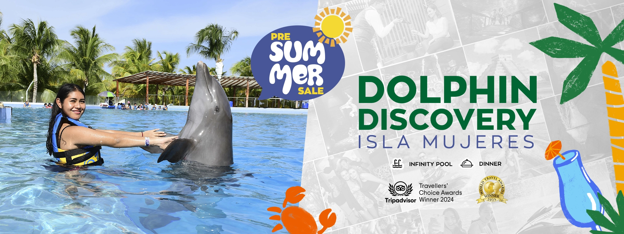 dolphin discovery in isla mujeres