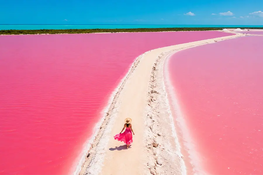 Imagen de  Las Coloradas y Rio Lagartos Tour desde Cancun: Descubre los Lagos Rosados y la Reserva de la Biosfera