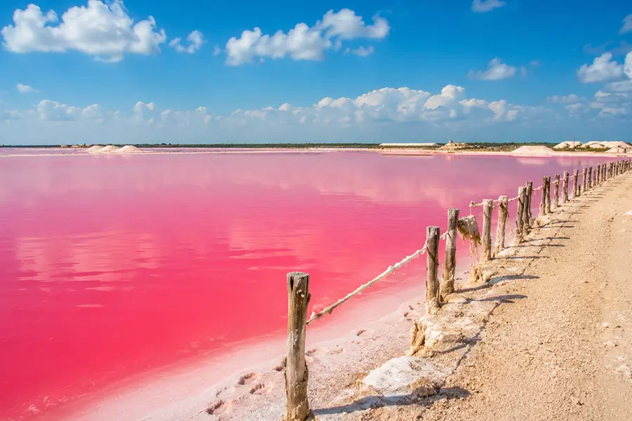 Imagen de  Las Coloradas y Rio Lagartos Tour desde Cancun: Descubre los Lagos Rosados y la Reserva de la Biosfera