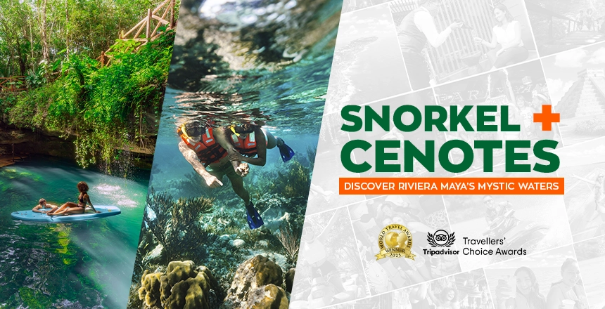 snorkel with cenotes experience