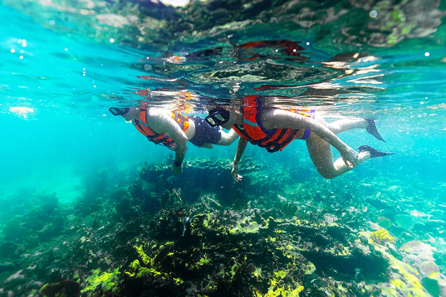 Imagen de  Snorkel Privado en Cancún Tour VIP