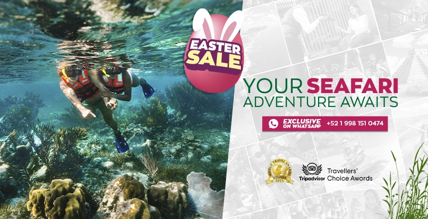 tour puerto morelos reef snorkel adventure