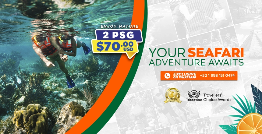 tour puerto morelos reef snorkel adventure