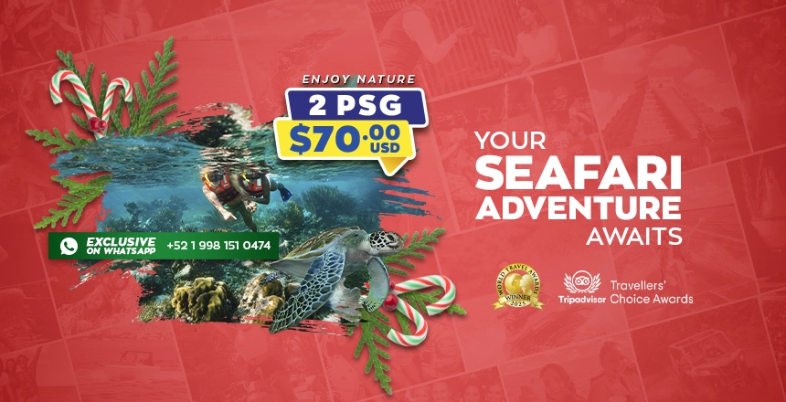 tour puerto morelos reef snorkel adventure