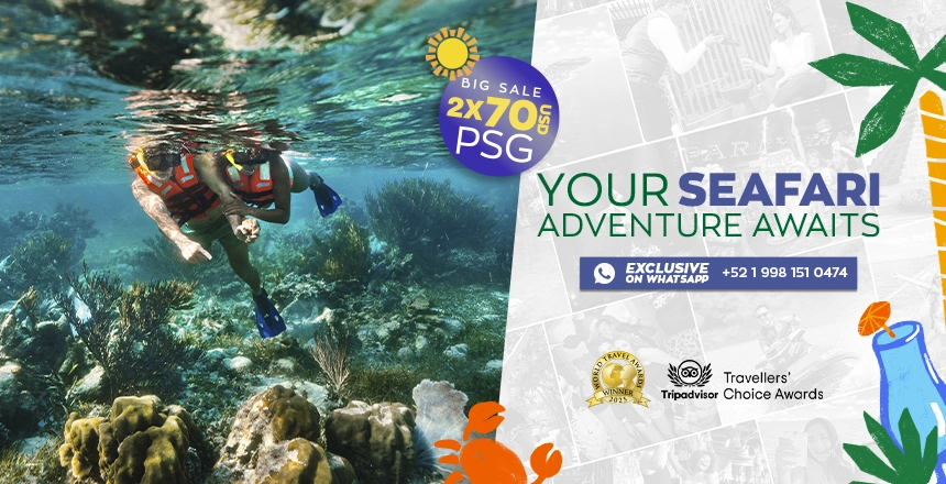 tour puerto morelos reef snorkel adventure