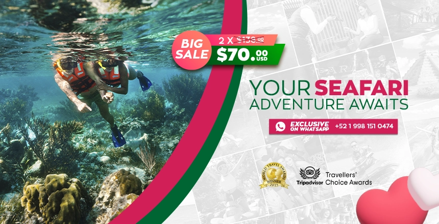 tour puerto morelos reef snorkel adventure