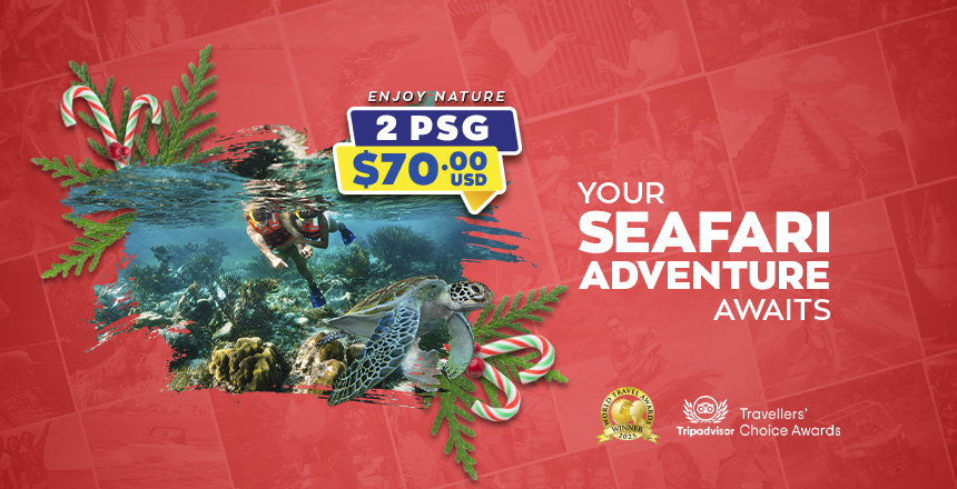 tour puerto morelos reef snorkel adventure