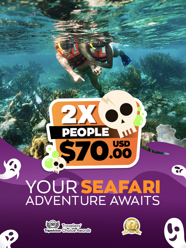 tour puerto morelos reef snorkel adventure