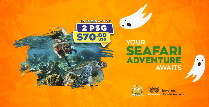 tour puerto morelos reef snorkel adventure