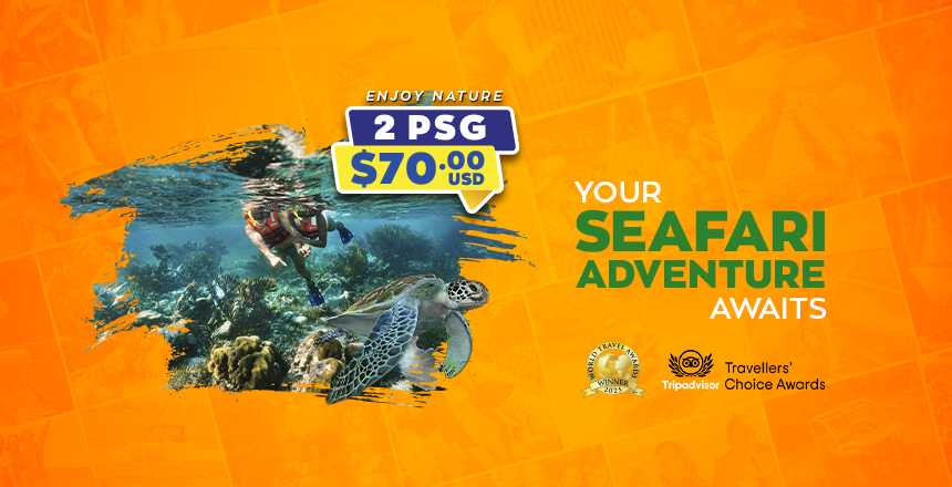 tour puerto morelos reef snorkel adventure