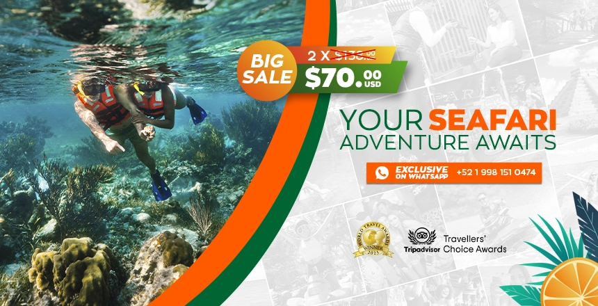 tour puerto morelos reef snorkel adventure