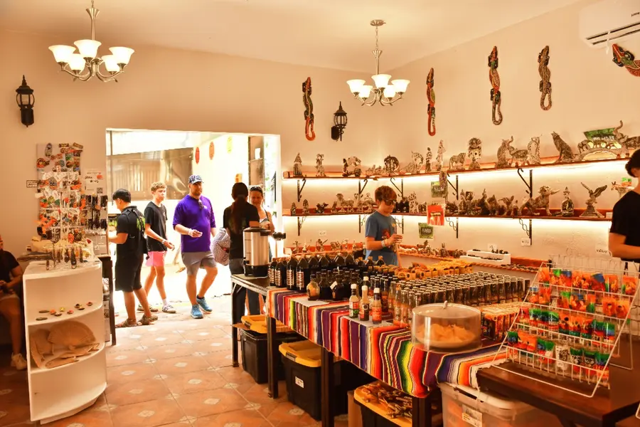 Tour Image  ATV Jungle Adventure with Ziplines, Cenote & Tequila Tasting