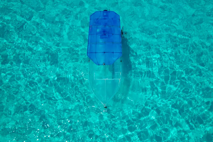 Tour Image Clearboat Tour with Reef Visit & Sandbar Swim in Cancun