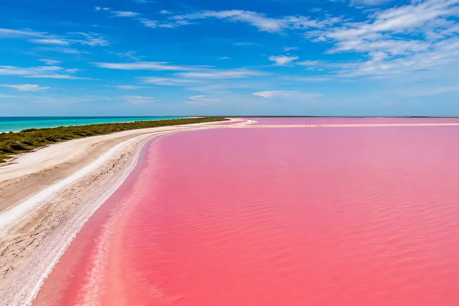 Imagen de  Las Coloradas y Rio Lagartos Tour desde Cancun: Descubre los Lagos Rosados y la Reserva de la Biosfera