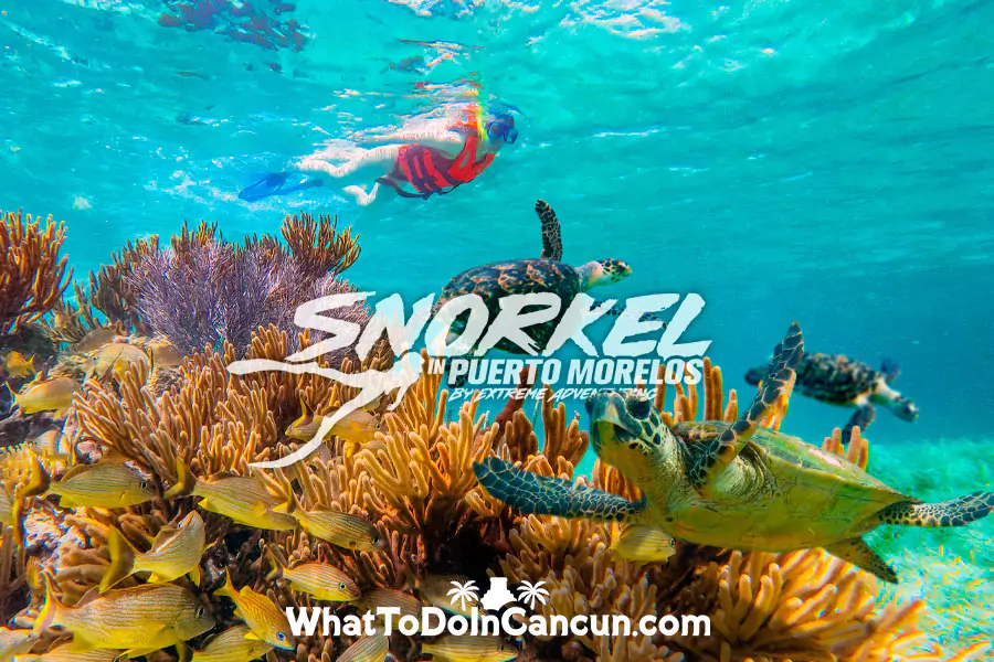 Snorkel en el arrecife de Puerto Morelos cerca de Cancún