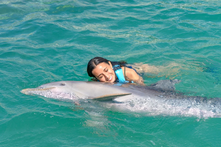 Dolphin Discovery Riviera Maya swimming with dolphins