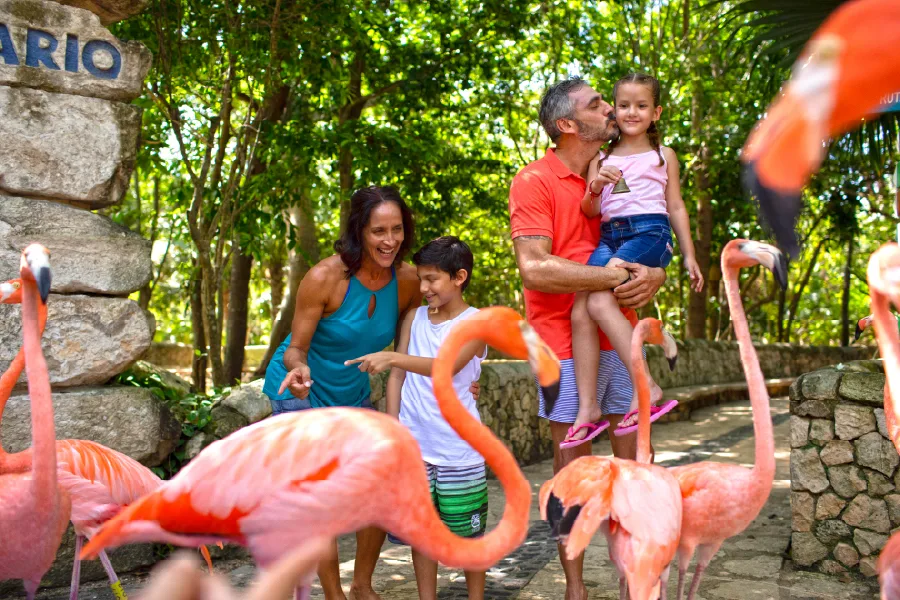 Cover image of Xcaret Plus Park