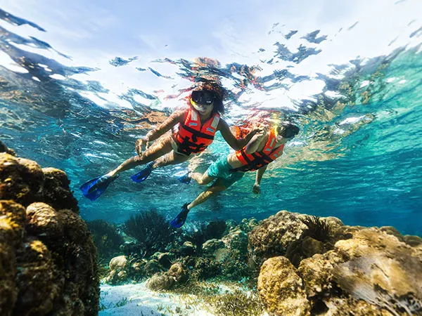 cover Puerto Morelos Reef Snorkel Adventure 15 minutes from Cancun