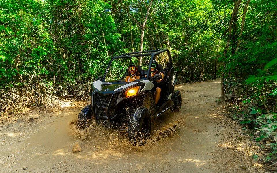 cover del Extreme Buggy y Zipline Eco Park