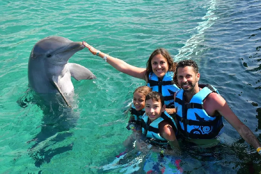 Dolphin Discovery in Isla Mujeres, Cancun