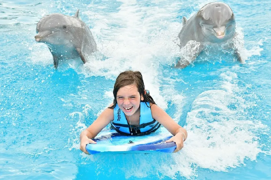 Dolphin Discovery in Cancun Zona Hotelera