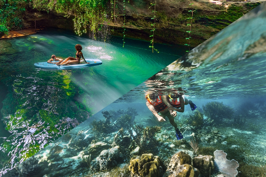 cover 3 Hidden Cenotes Experience & Puerto Morelos Reef Snorkeling