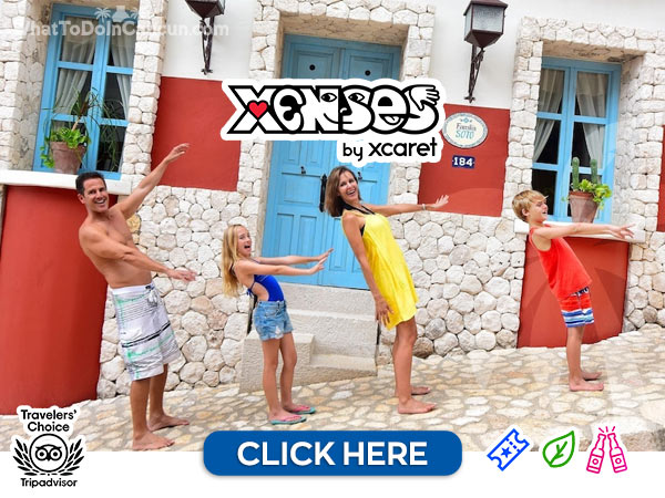 xenses tours from cancun