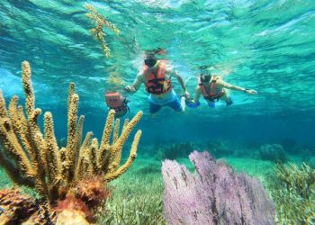 snorkel-in-beautifull-coral-reef-in-cancun