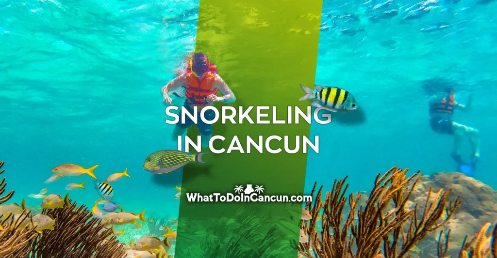 Snorkeling in Cancun